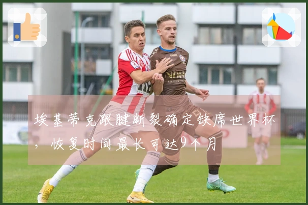 埃基蒂克跟腱断裂确定缺席世界杯，恢复时间最长可达9个月